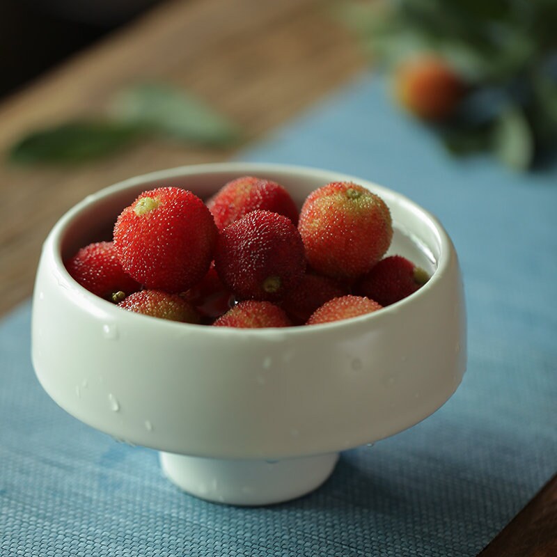 Hand Thrown Ceramic Ikebana Vase / Ikebana Container / Ikebana Bowl / Fruit Bowl/ Japanese Floral Arrangement / Kungfu Chado Tea Table Decor